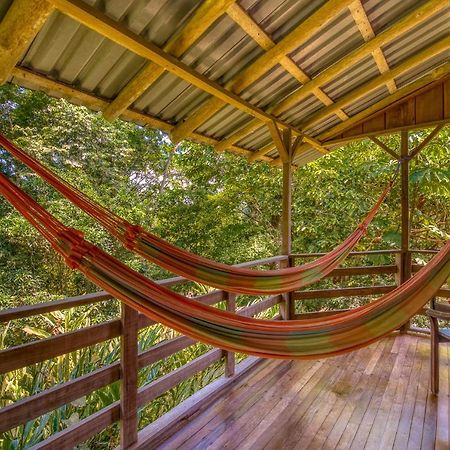 Selva Bananito Lodge Westfalia Exterior photo