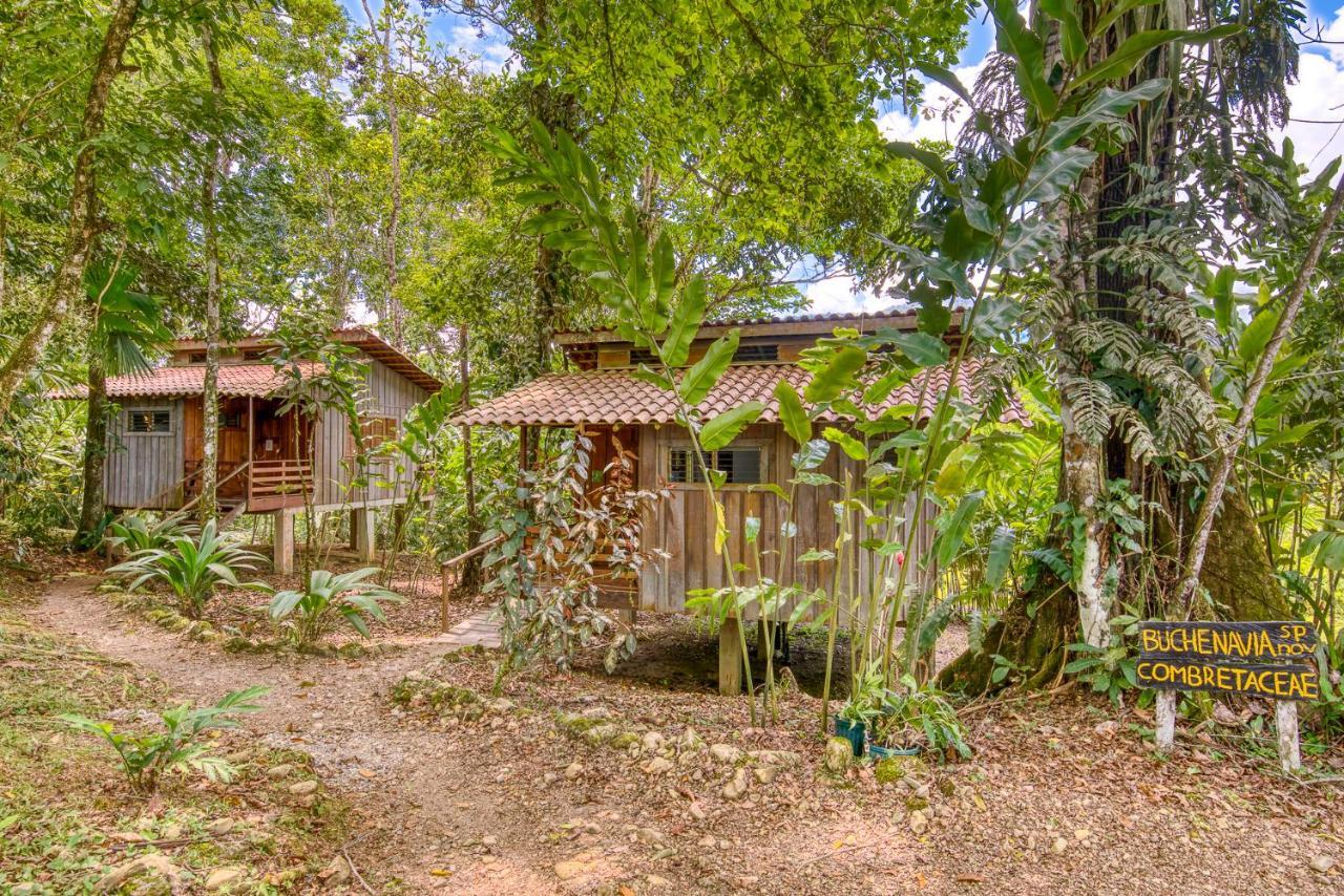 Selva Bananito Lodge Westfalia Exterior photo