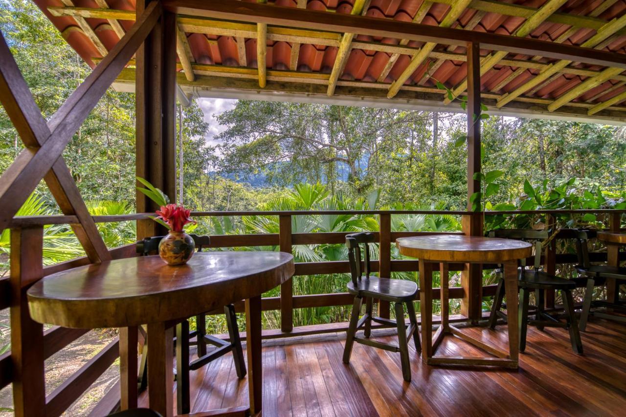 Selva Bananito Lodge Westfalia Exterior photo