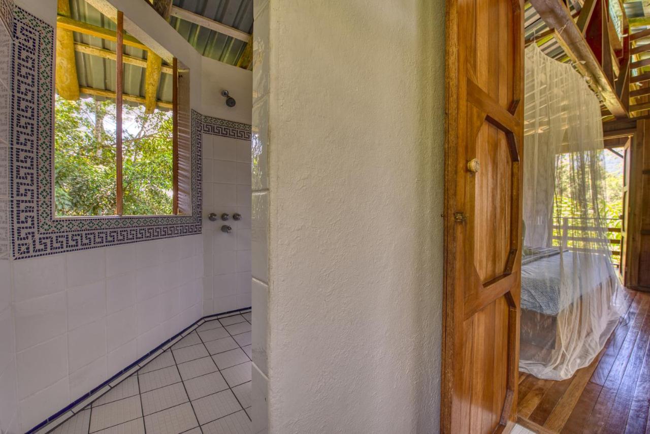 Selva Bananito Lodge Westfalia Exterior photo