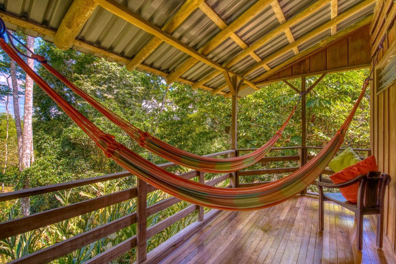 Selva Bananito Lodge Westfalia Exterior photo
